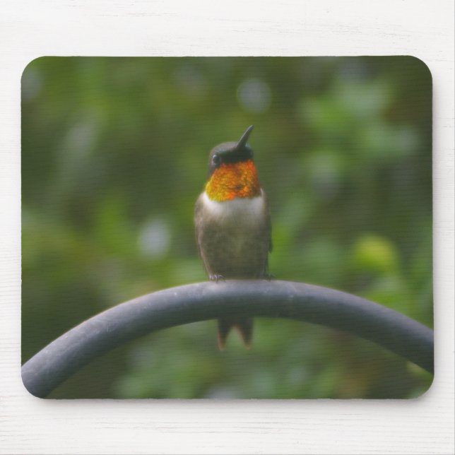 Ruby Throat Hummingbird Mousepad (Vorne)