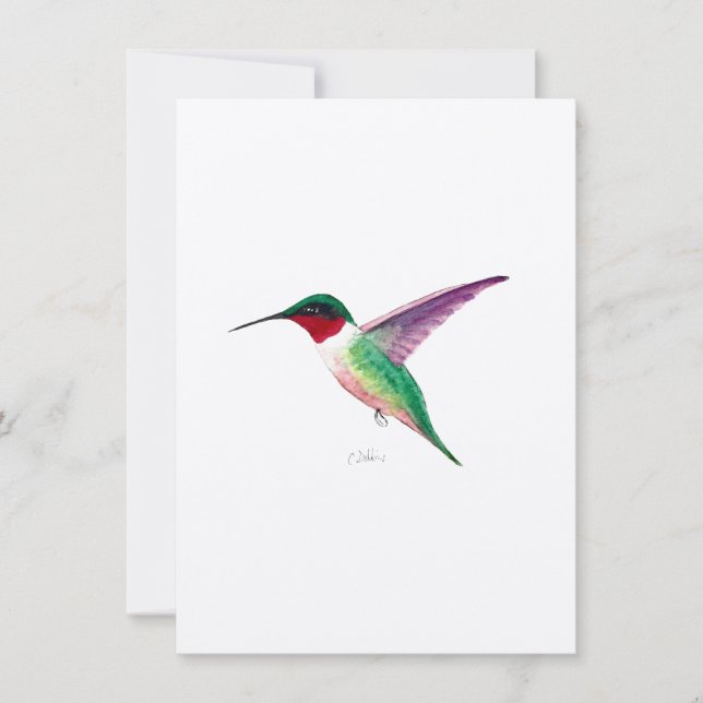 Ruby-throated Hummingbird (Vorderseite)
