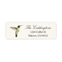 Ruby-throated Hummingbird