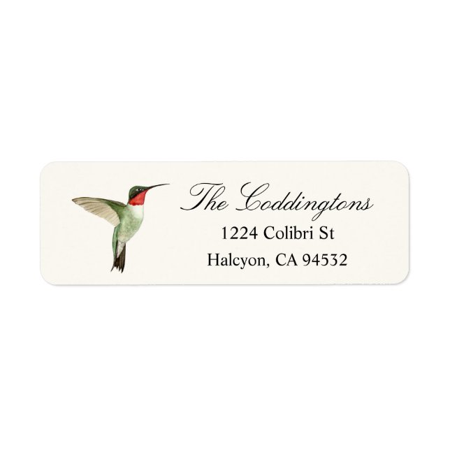 Ruby-throated Hummingbird (Vorne)