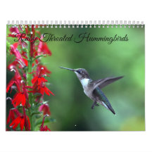 Ruby Throated Hummingbird 2025Kalender