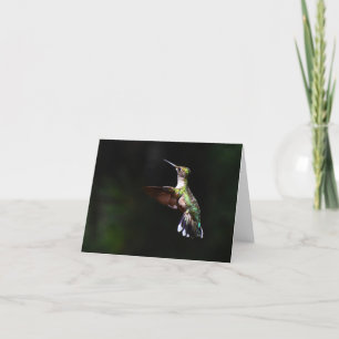 Ruby-throated Hummingbird #2 - Blank Note Card Dankeskarte