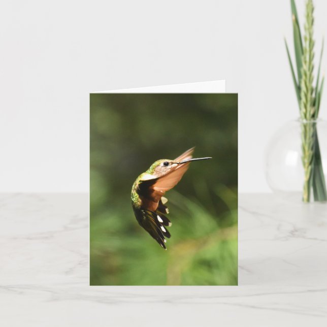 Ruby-throated Hummingbird #5 - Blank Note Card Karte (Vorderseite)