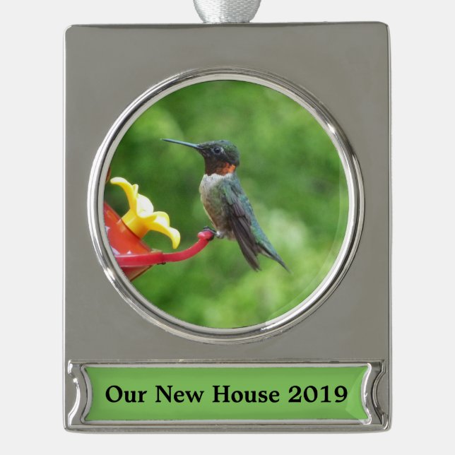 Ruby-Throated Hummingbird Bird Fotografy Banner-Ornament Silber (Vorderseite)