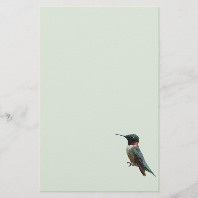 Ruby-Throated Hummingbird Bird Fotografy Briefpapier (Vorderseite)
