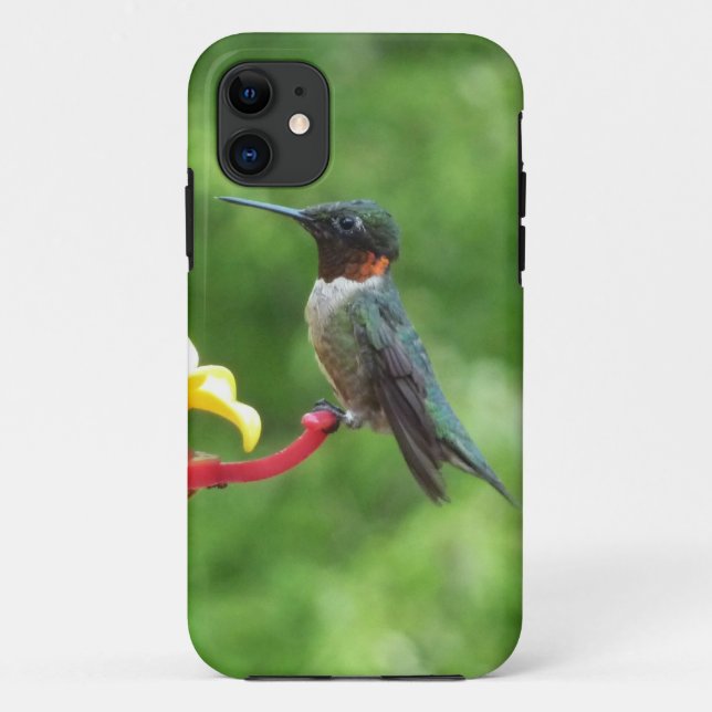 Ruby-Throated Hummingbird Bird Fotografy Case-Mate iPhone Hülle (Rückseite)