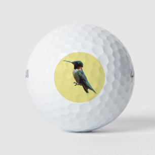 Ruby-Throated Hummingbird Bird Fotografy Golfball