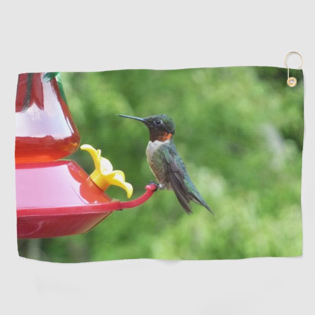 Ruby-Throated Hummingbird Bird Fotografy Golfhandtuch (Horizontal)
