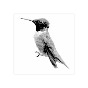 Ruby-Throated Hummingbird Bird Fotografy Gummistempel