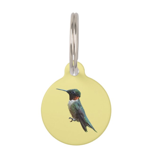 Ruby-Throated Hummingbird Bird Fotografy Haustiermarke (Vorderseite)