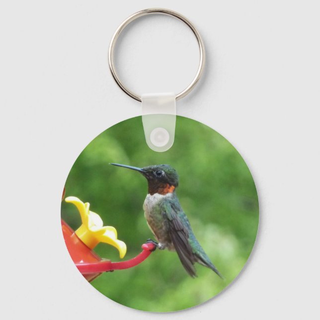 Ruby-Throated Hummingbird Bird Fotografy Schlüsselanhänger (Vorderseite)