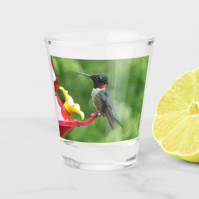 Ruby-Throated Hummingbird Bird Fotografy Schnapsglas (Vorderseite)