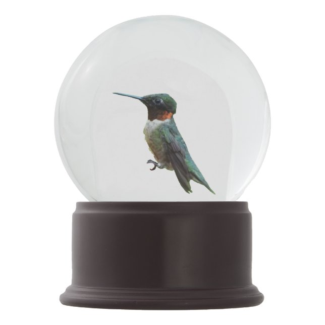 Ruby-Throated Hummingbird Bird Fotografy Schneekugel (Vorderseite)