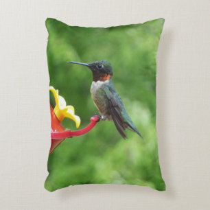 Ruby-Throated Hummingbird Bird Fotografy Zierkissen
