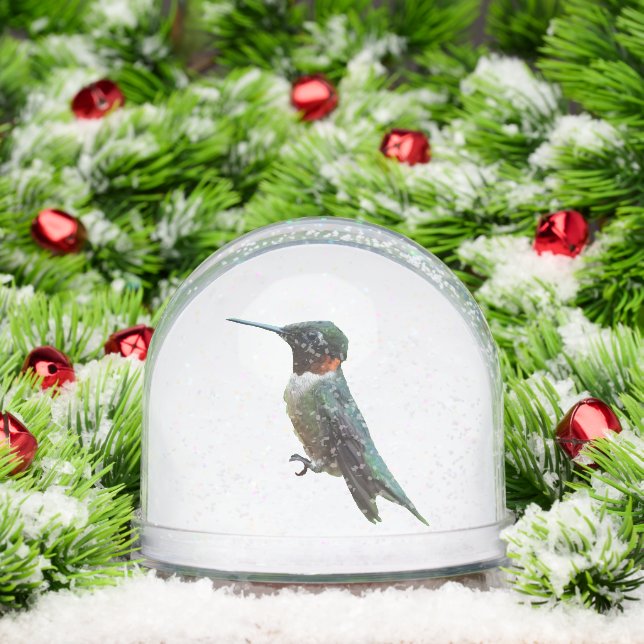 Ruby-Throated Hummingbird Bird Photography (Noël)