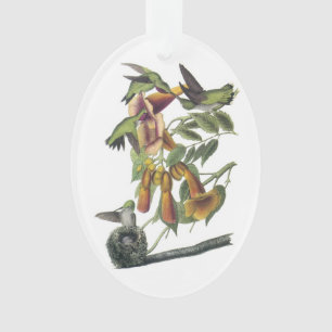 Ruby-throated Hummingbird by Audubon Ornament