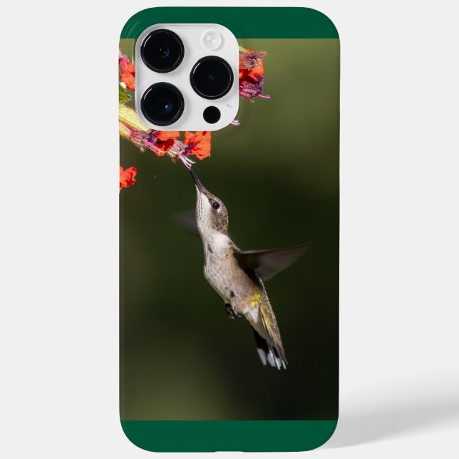 Ruby-Throated Hummingbird Case-Mate iPhone 14 Pro Max Hülle (Rückseite)