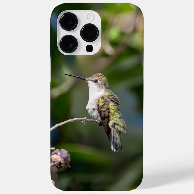 Ruby-Throated Hummingbird Case-Mate iPhone 14 Pro Max Hülle (Rückseite)