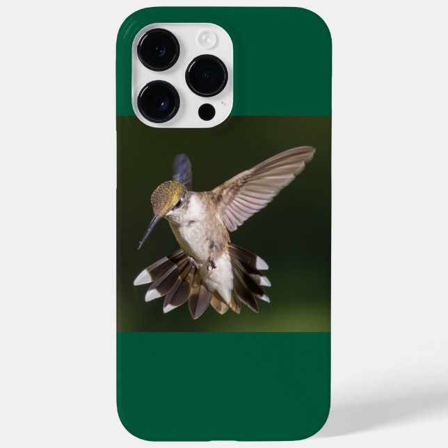 Ruby-Throated Hummingbird Case-Mate iPhone 14 Pro Max Hülle (Rückseite)