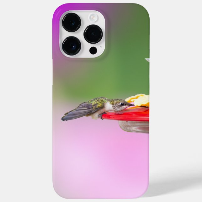 Ruby-Throated Hummingbird Case-Mate iPhone 14 Pro Max Hülle (Rückseite)