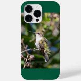 Ruby-Throated Hummingbird Case-Mate iPhone 14 Pro Max Hülle