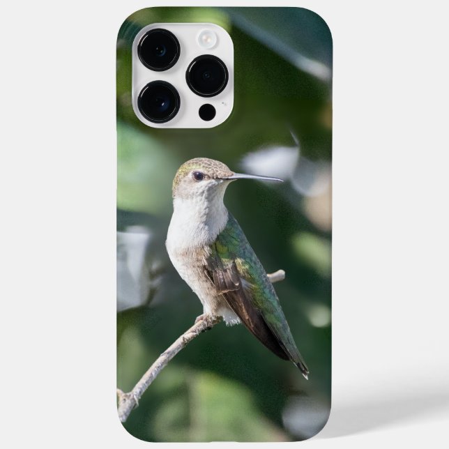 Ruby-Throated Hummingbird Case-Mate iPhone 14 Pro Max Hülle (Rückseite)