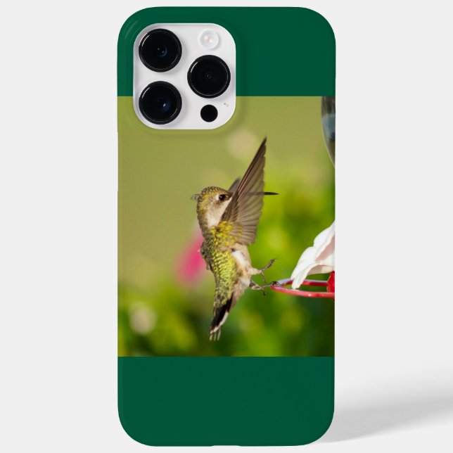 Ruby-Throated Hummingbird Case-Mate iPhone 14 Pro Max Hülle (Rückseite)