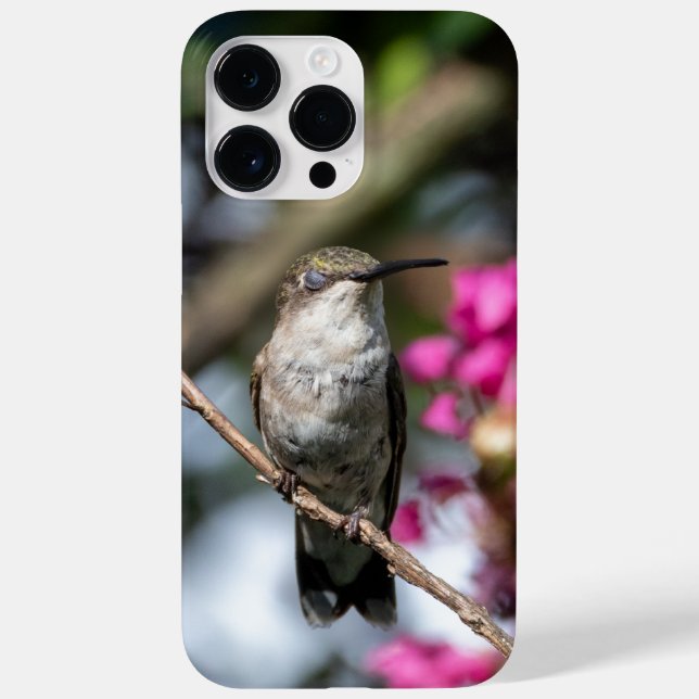 Ruby-Throated Hummingbird Case-Mate iPhone 14 Pro Max Hülle (Rückseite)