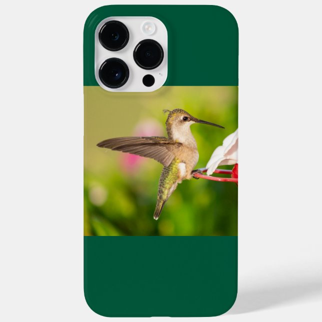 Ruby-Throated Hummingbird Case-Mate iPhone 14 Pro Max Hülle (Rückseite)