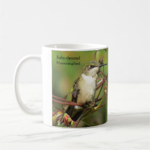 Ruby-throated Hummingbird Coffee Tasse
