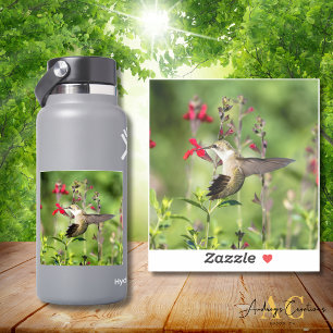 Ruby-Throated Hummingbird Cut Vinyl Aufkleber