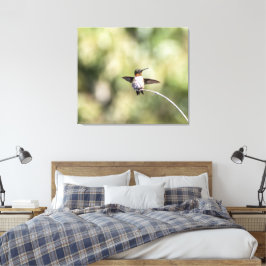 Ruby-Throated Hummingbird Design #4Q7A0015 Leinwanddruck