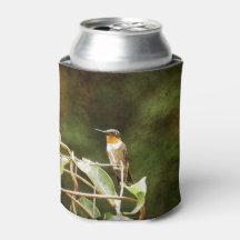 Ruby Throated Hummingbird