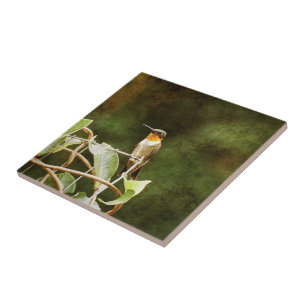 Ruby Throated Hummingbird Fliese