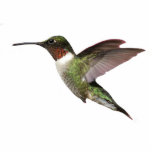 Ruby Throated Hummingbird Fotoskulptur Schlüsselanhänger<br><div class="desc">This lovely 3D keychain is a ruby throated hummingbird</div>