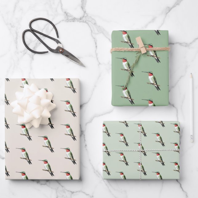 Ruby-throated Hummingbird Geschenkpapier Set (Vorderseite)