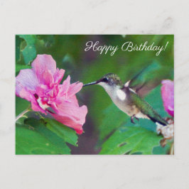 Ruby Throated Hummingbird Happy Birthday Postcard Postkarte
