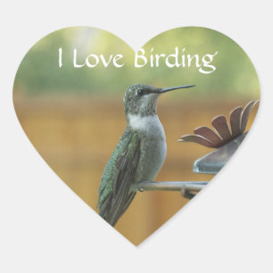 Ruby Throated Hummingbird Herz-Aufkleber