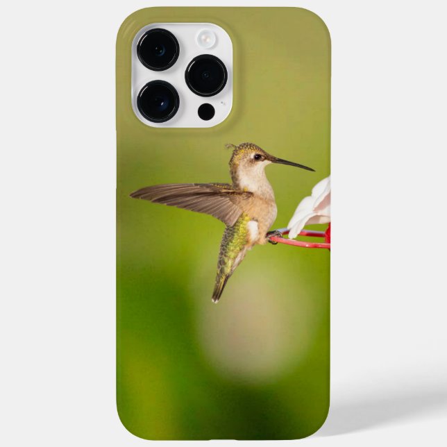 Ruby-Throated Hummingbird IPhone Case #108A0605 (Rückseite)