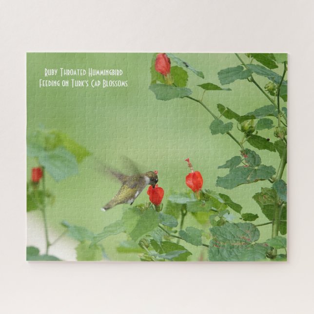 Ruby Throated Hummingbird, Jigsaw Pu, Vogelliebhab (Horizontal)