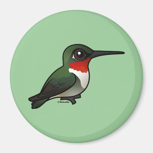 Ruby-throated Hummingbird Magnet (Vorne)