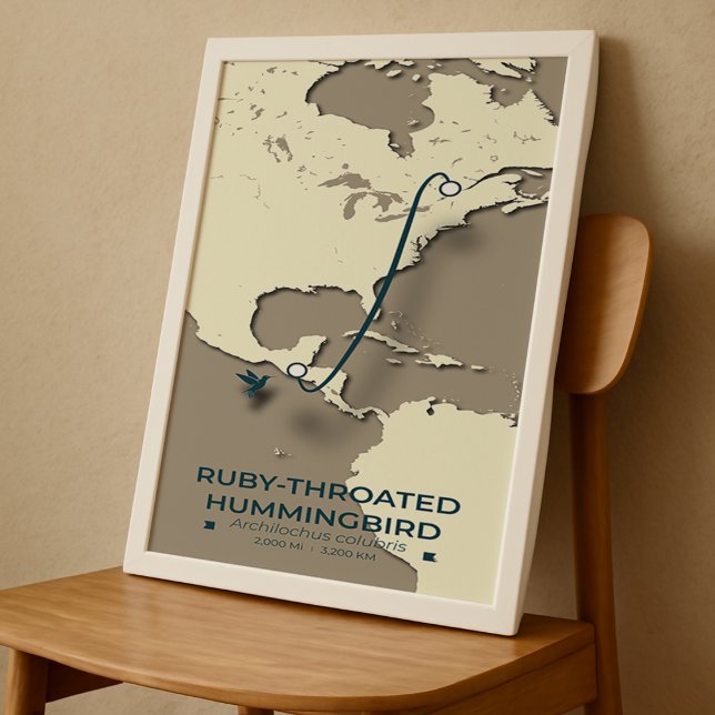 Ruby-throated Hummingbird Migration Map - Minimali Poster (Von Creator hochgeladen)