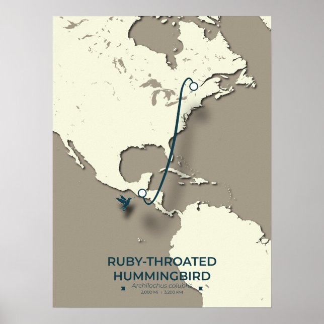 Ruby-throated Hummingbird Migration Map Poster (Vorne)