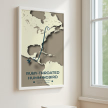 Ruby-throated Hummingbird Migration Map