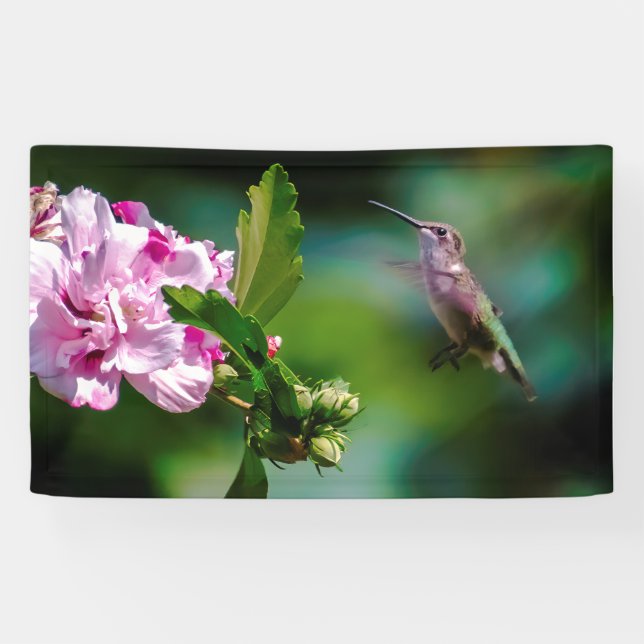 Ruby-throated Hummingbird - Original Foto Banner (Horizontal)