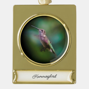 Ruby-throated Hummingbird - Original Foto Banner-Ornament Gold