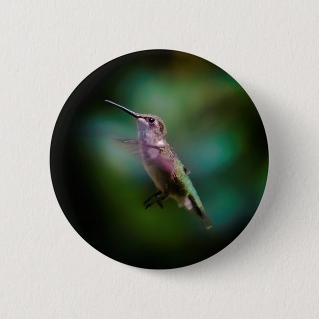 Ruby-throated Hummingbird - Original Foto Button (Vorderseite)