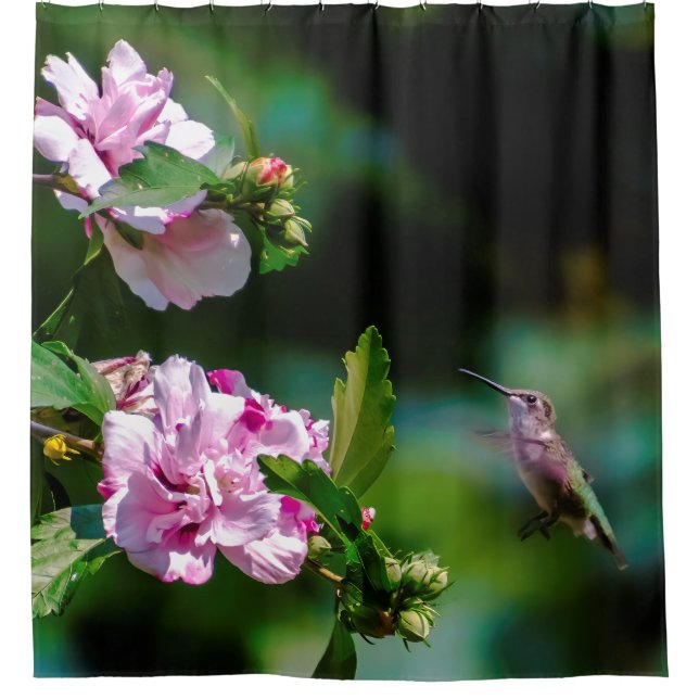 Ruby-throated Hummingbird - Original Foto Duschvorhang (Vorderseite)