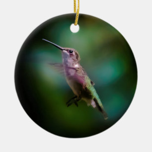 Ruby-throated Hummingbird - Original Foto Keramik Ornament