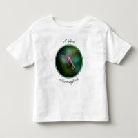 Ruby-throated Hummingbird - Original Foto